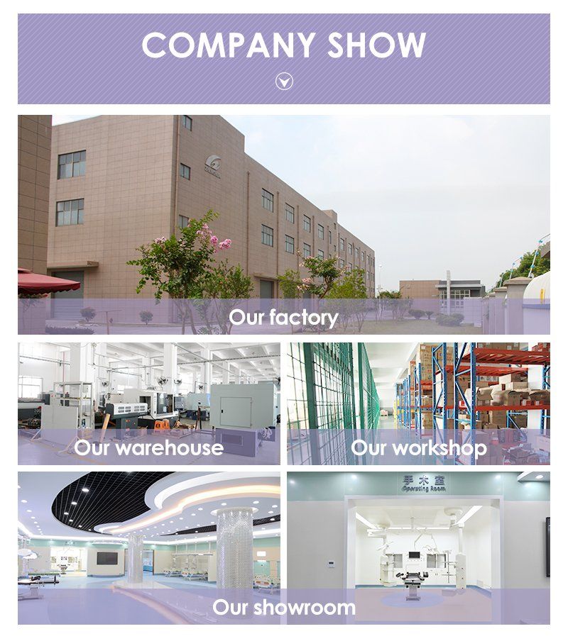2021 Hot Product Ceiling Fixture Operation Reflector Lamps Quality LED Double Dome High Lux Intensity Operation Theater Light