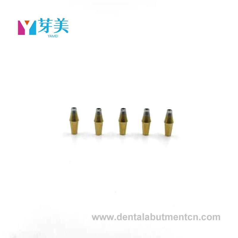 What Makes Prosthetic Abutments the Key to Next-Generation Dental Restoration?