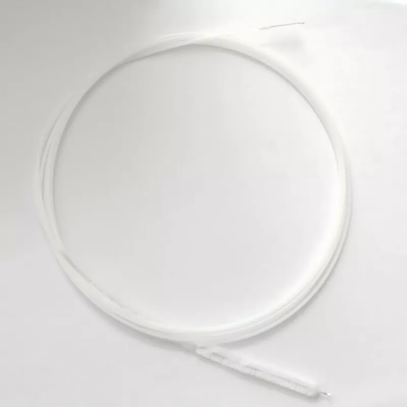 How Does a Duodenal Endoscopic Brush Improve Targeted Sampling in GI Procedures?