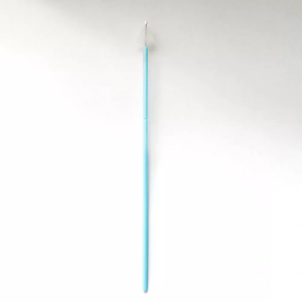 Where Can You Buy a High-Quality Segmented-Handle Cervical Brush for Clinical Use