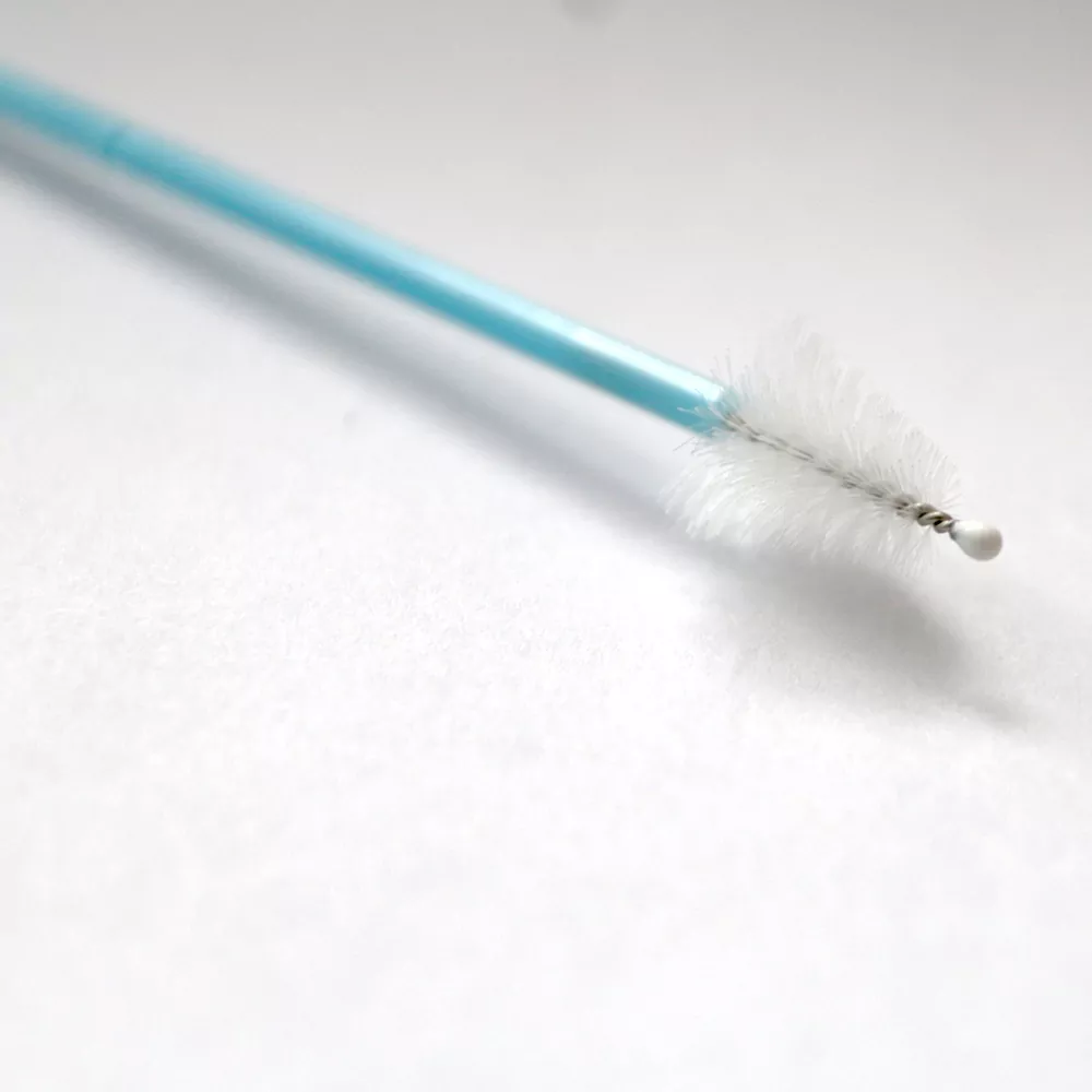 Are Cervical Sampling Brushes Safe and Effective for Cervical Cancer Screening