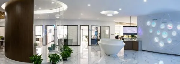 316L Stainless Steel Drug-Eluting Intracoronary Stent System with CE