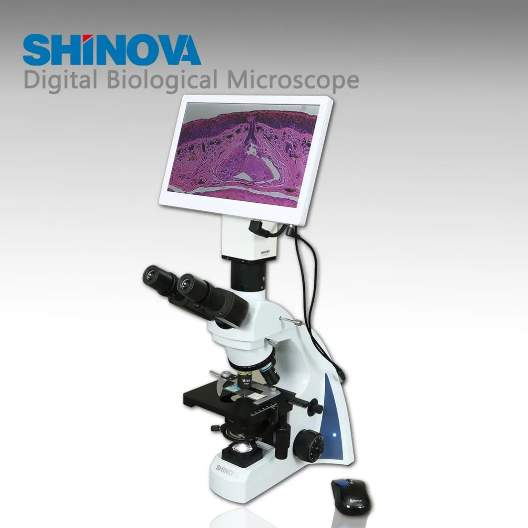 5m Pixels LCD Microscope Video Microscope Veterinary Medical Equipment Digital Veterinary Biological Microscope (DM-500L)