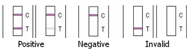 Aiv Avian Influenza Antigen Rapid Test