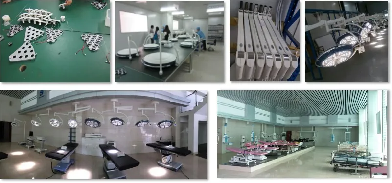 Animal Anatomy Table Flat-Top Stainless Steel Vet Operating Table/Animal Surgical Table