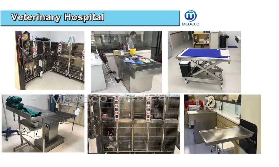 Animal Examination Table Veterinary Equipment Dwv-II Animal Operating Table Mes-05