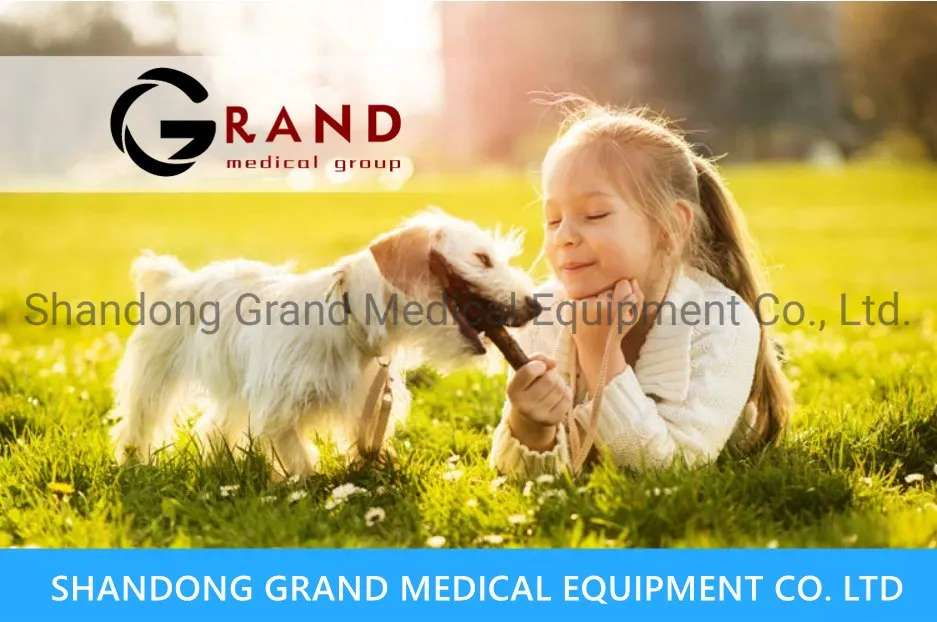 Buy 304 Stainless Steel Anatomy Animal Electric Veterinary Operating Table for Pet Operation Pet Medical Veterinary Surgery Equipment Electric Operation Table