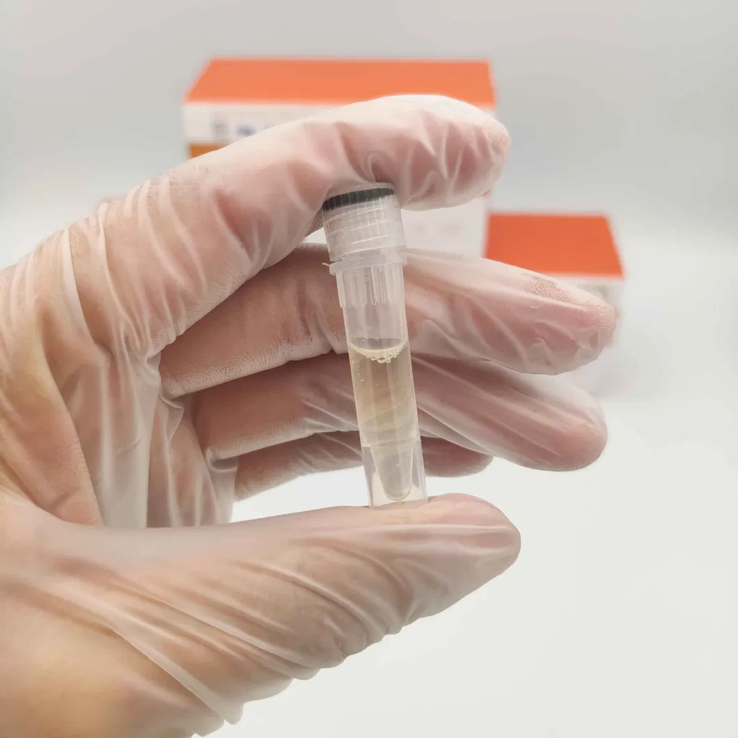 Canine Test Kit Ccv Cpv Cdv Rabies Antigen Antibody Rapid Pet Diagnosis Test Kit