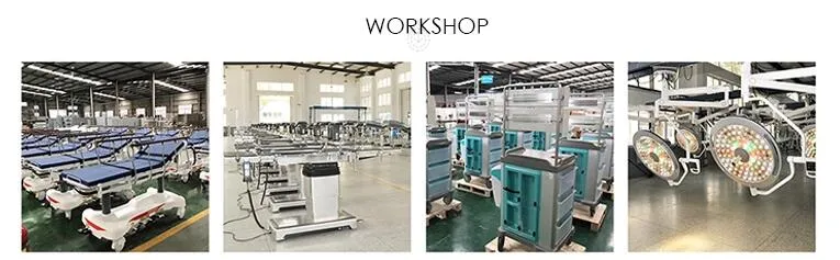 CE/ISO Approved LED Operation Lamp (AM-LED-D61)