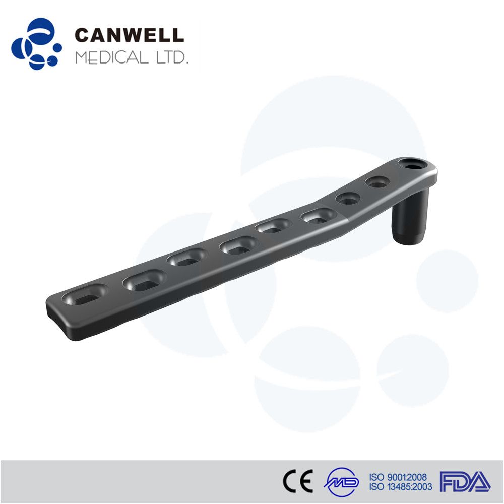 Chinese Supplier Compression Screw for Dynamic Hip and Condylar System Dhs/Dcs Titanium Surgical Screws Price