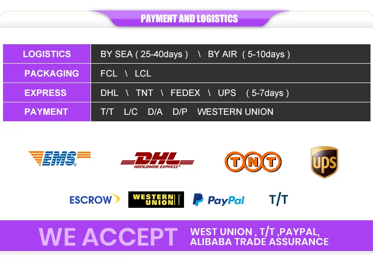 Dental Handpiece Sirona T3 Racer High Quality Dental High Speed Turbine Handpiece 2 or 4 Hole