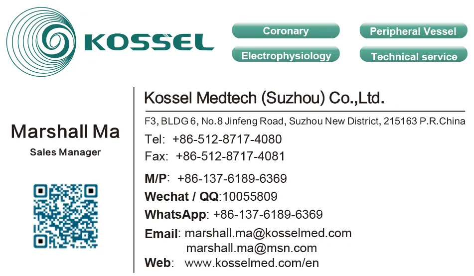 Des Drug-Eluting Heart Stent System