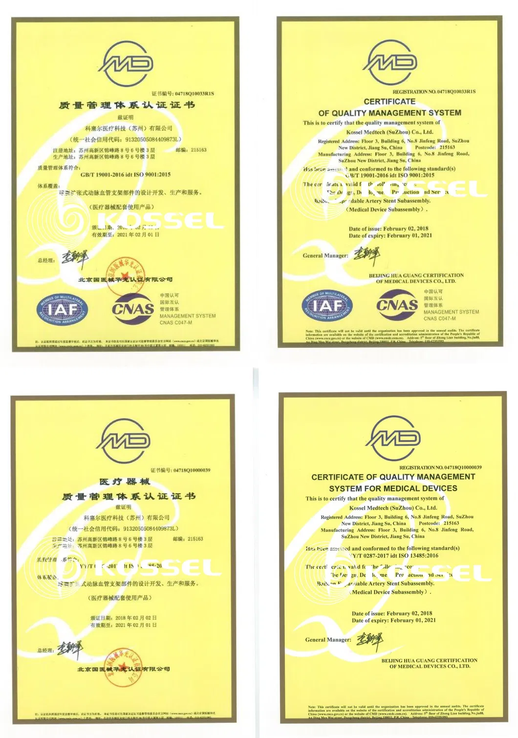Des Drug-Eluting Intracoronary Stent System with CE Certificate