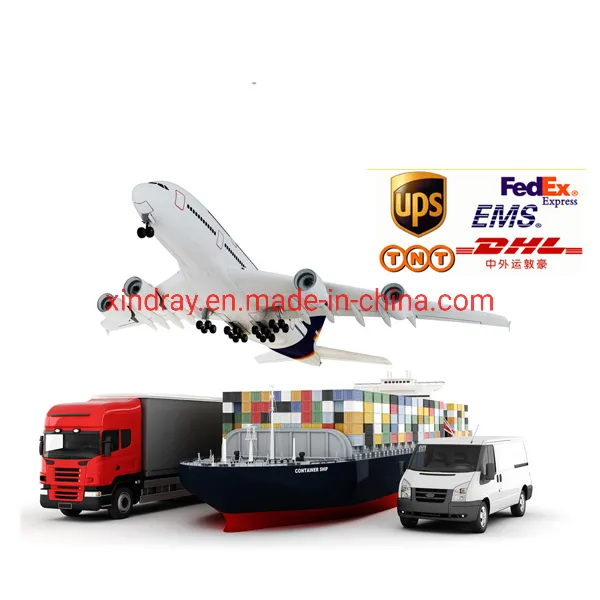 Diagnosis Equipment High Frequency Mobile Animal Use Hospital Medical Equipment Portable 100mA Veterinary X-ray Machine