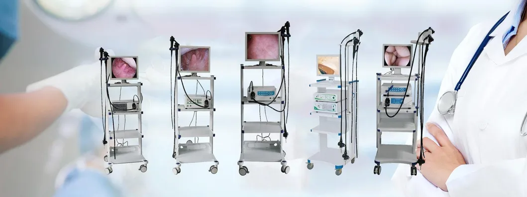 Disposable Flexible Endoscopic Rotatable Hemoclip with Large Opening Span