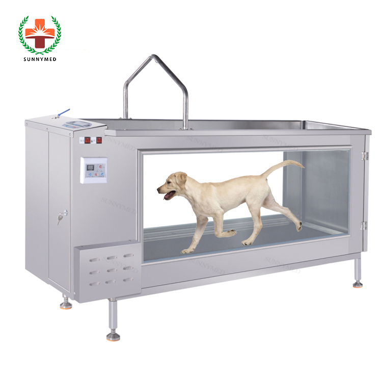 Dog Running Training Machine Underwater Pet Hydrotherapy Treadmill Hydro Treadmill