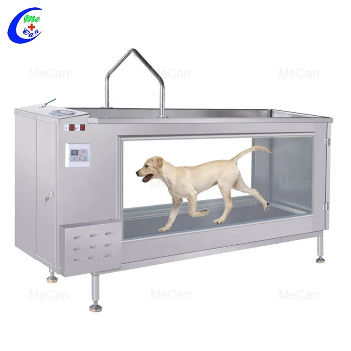 Dog Treadmill Pet Hydrotherapy Treadmill Dog Underwater Treadmill