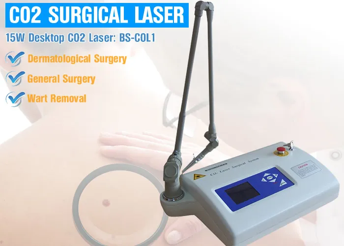 Equine Laser Surgery Ablation of Penile and Cervical Lesions