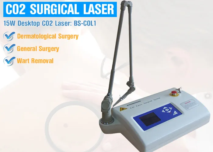 Equine Laser Surgery Ablation of Penile and Cervical Lesions