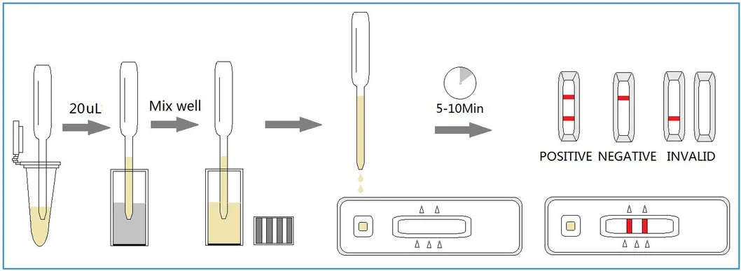 Fip Feline Infectious Peritonitis Virus Antibody Rapid Test Kit