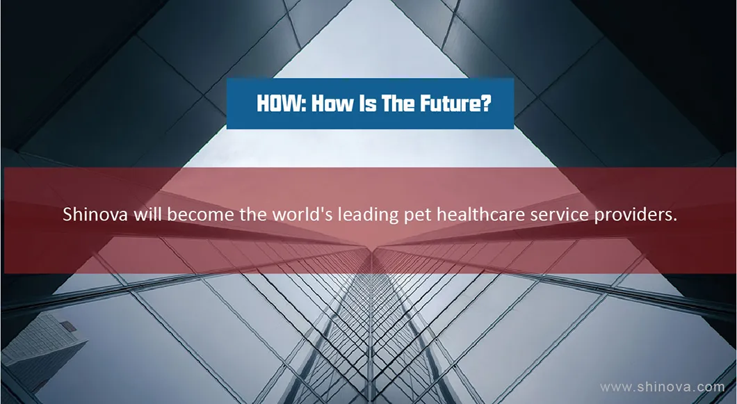 High-Definition Flexible Endoscope Veterinary Video Endoscope Veterinary Gastroscope (HiScope 80)