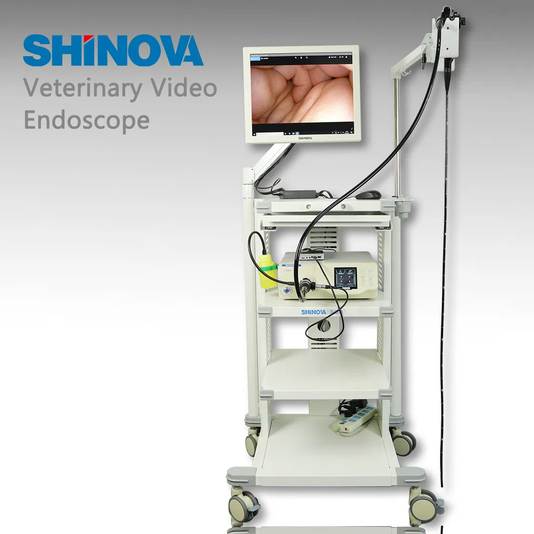 High-Definition Flexible Endoscope Veterinary Video Endoscope Veterinary Gastroscope (HiScope 80)