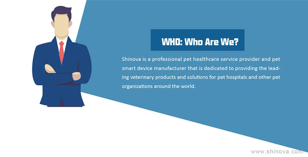 High-Definition Flexible Endoscope Veterinary Video Endoscope Veterinary Gastroscope (HiScope 80)