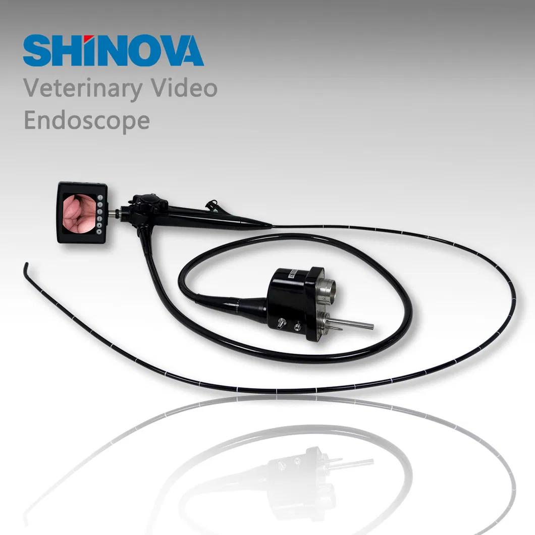High-Definition Veterinary Video Endoscope (3-Meter)