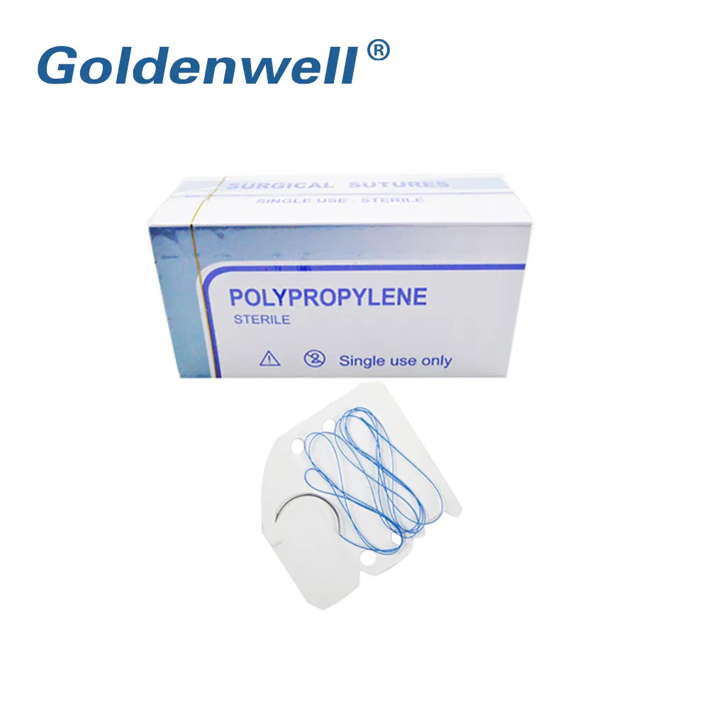 High Quality Medical Sterile Absorbable Disposable Surgical Suture with Needle