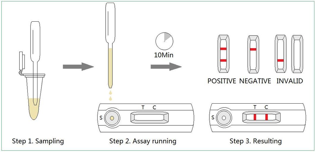 High Quality Rln Canine Pregnancy@Relaxin Rapid Test (Relaxin)
