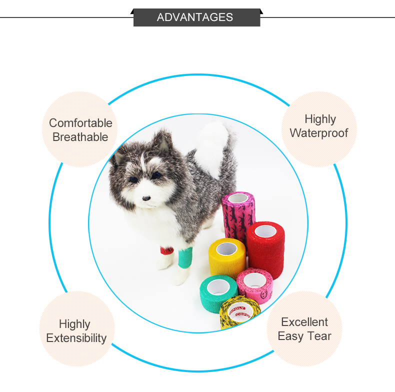 HS101A-Vet Surgical Veterinary Anaesthesia Machine