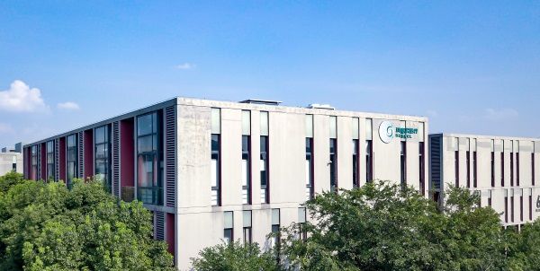 Intracoronary Cardiac Stent for Medical Single Use