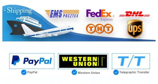 Medical Equipment 300W Digital Display Electrosurgical Generator with Five Working Modes