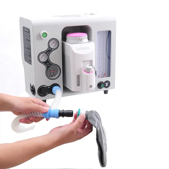 Medical Equipment Hospital Portable Veterinary Animal Anesthesia Machine for Clinic