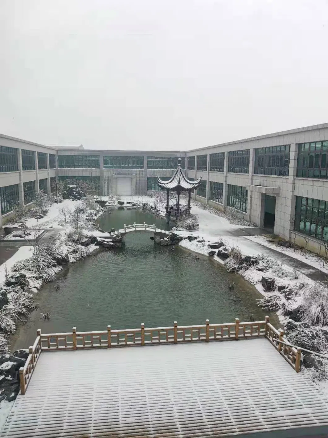 Ophthalmic Surgical Instruments, Eye Surgery Instruments, Scleral Depressor