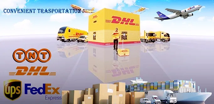 Orthopedic 130 Angle Dhs Plate (Hex-type)