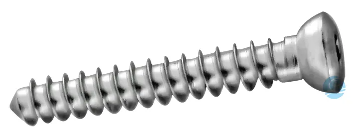 Orthopedic Distal Radius Back Plate