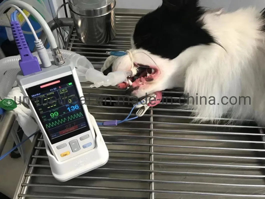 PC100 ISO Spanish Veterinary Animal Pet Portable Pulse Oximetry
