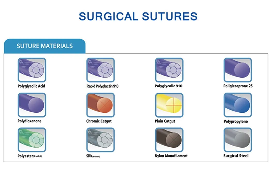 Pdo/PGA/Pgla Synthetic Absorbable Disposable Medical Suture with Needle