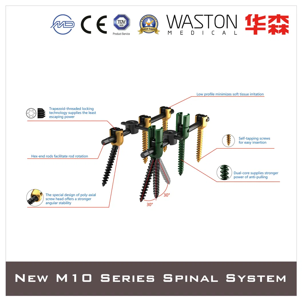 Pedicle Screw, Titanium Alloy, Orthopedic Implant, Spine, Surgical, Medical Instrument Set, with CE/ISO/FDA, Dislocation, Fracture, Lumber and Cervical Verterbr