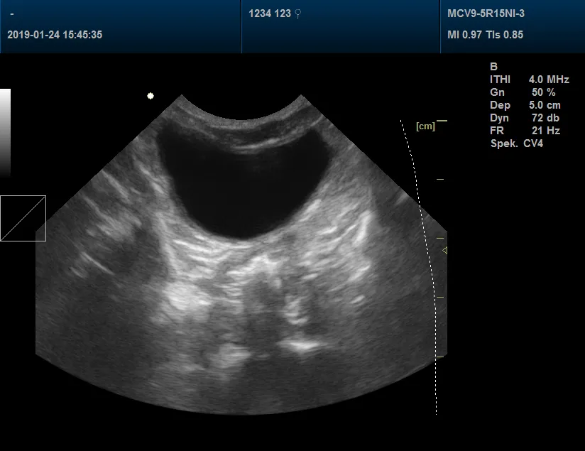 Pet Clinic Veterinary Color Doppler Ultrasound Scanner 3D, 4D