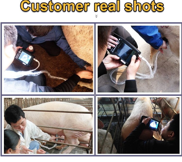 Portable Laptop 3.5MHz Vet Use Mini Veterinary Ultrasound Machine Medicine Equipment Ultrasound 5.6inch Scanner for Animal Pregnancy