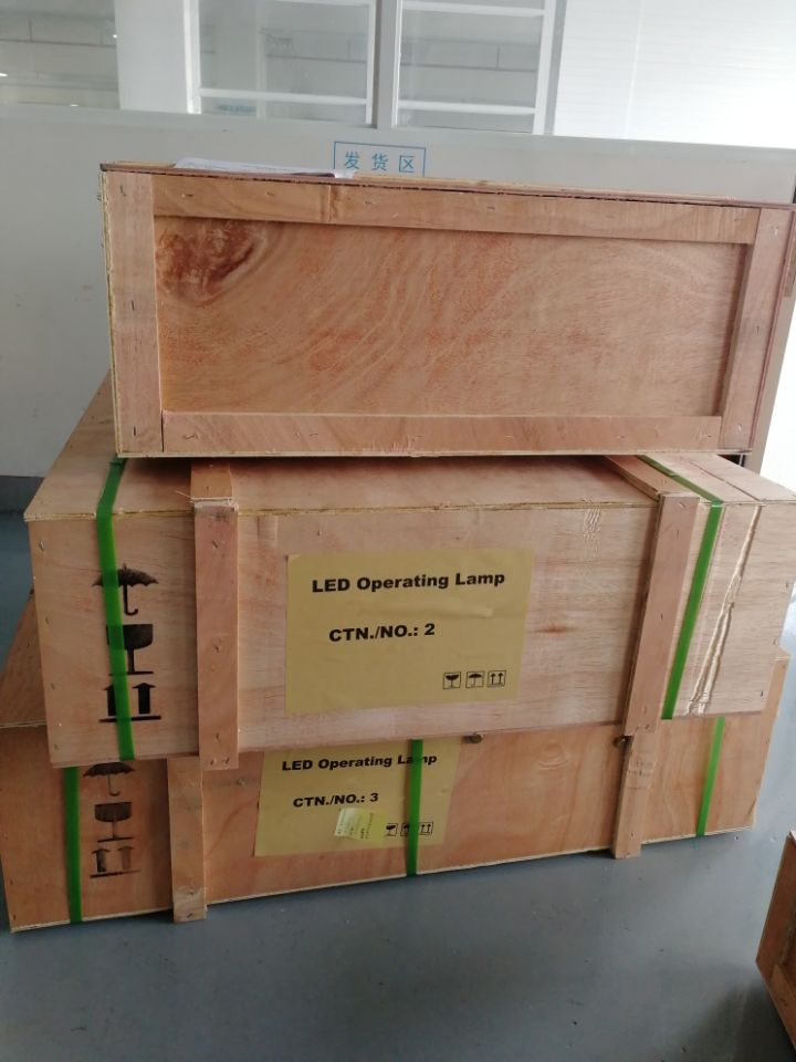 Portable Movable Standing on Floor Operation Room Light Examination Lamp (500S LED)