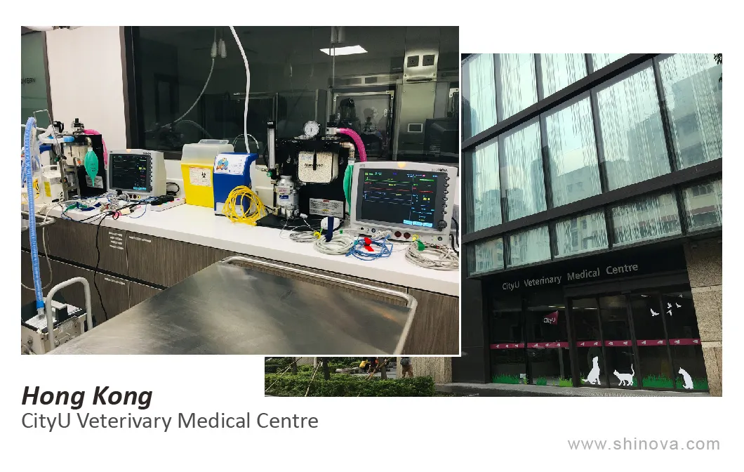 Portable Veterinary Anesthetic Machine Under Magnetic Resonance Environment/ MRI Compatible Animal Gas Anesthesia Equipment CE Certification Medical Grade