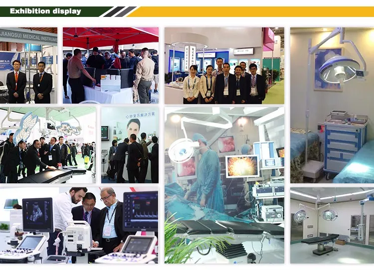 Safety Medical Disposable Sclerotherapy Needle for Endoscope