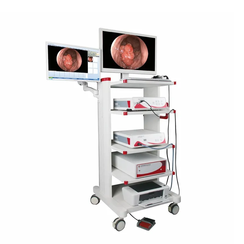 Sigmoidoscope Complete Endoscope System Medical Endoscopy Camera Tower
