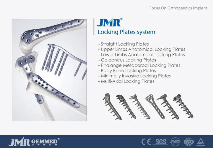 Titanium Orthopedic Implant Trauma Bone Plate Pfna Proximal Femoral Intramedullary Nail Antirotation
