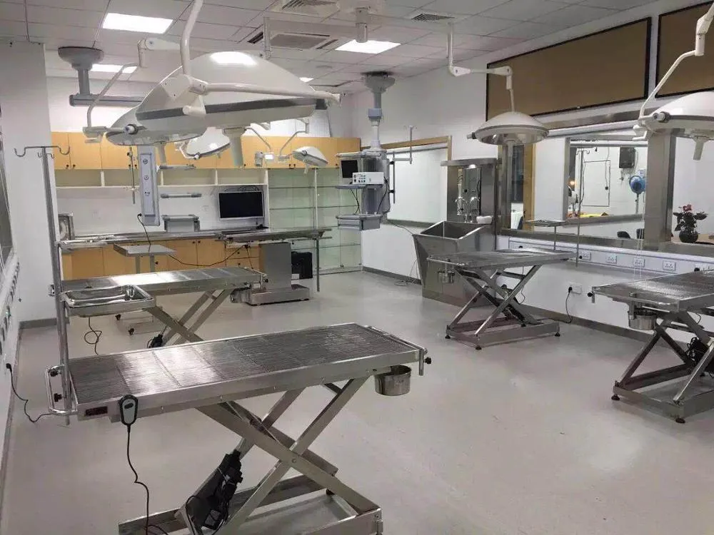 110V/50Hz CE FDA Approved High Quality 304 Stainless Steel Temperature Control Veterinary Surgery Table Customized Vet Operating Table Medical Supplies