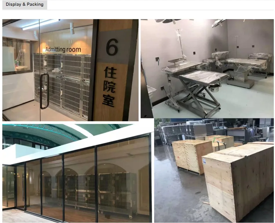 110V/50Hz CE FDA Approved High Quality 304 Stainless Steel Temperature Control Veterinary Surgery Table Customized Vet Operating Table Medical Supplies