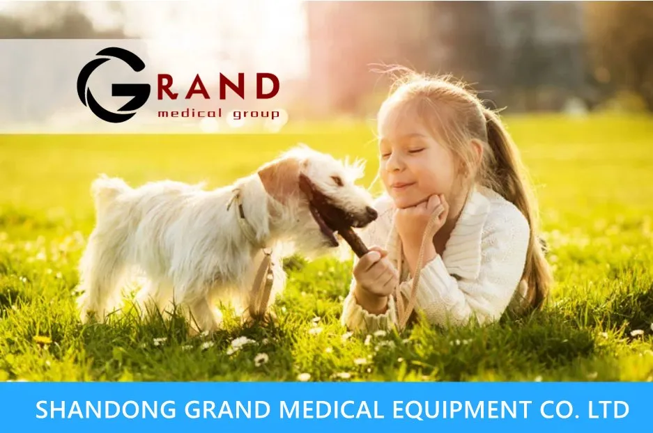 110V/50Hz CE FDA Approved High Quality 304 Stainless Steel Temperature Control Veterinary Surgery Table Customized Vet Operating Table Medical Supplies